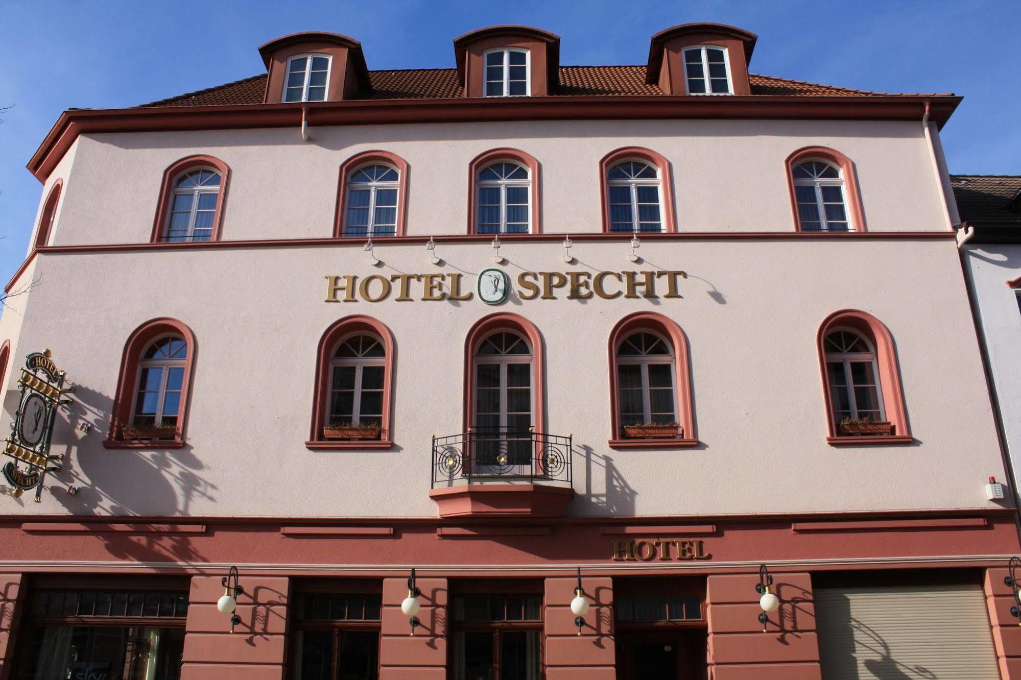 Specht By Trotmannia Dortmund