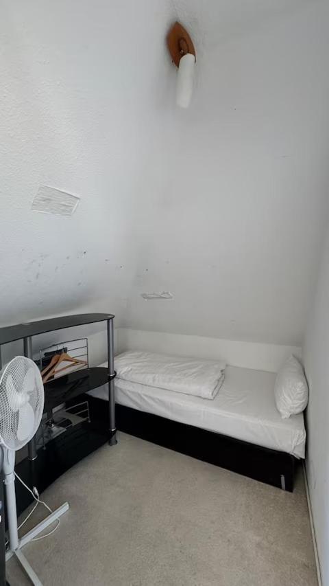 Specht 3*