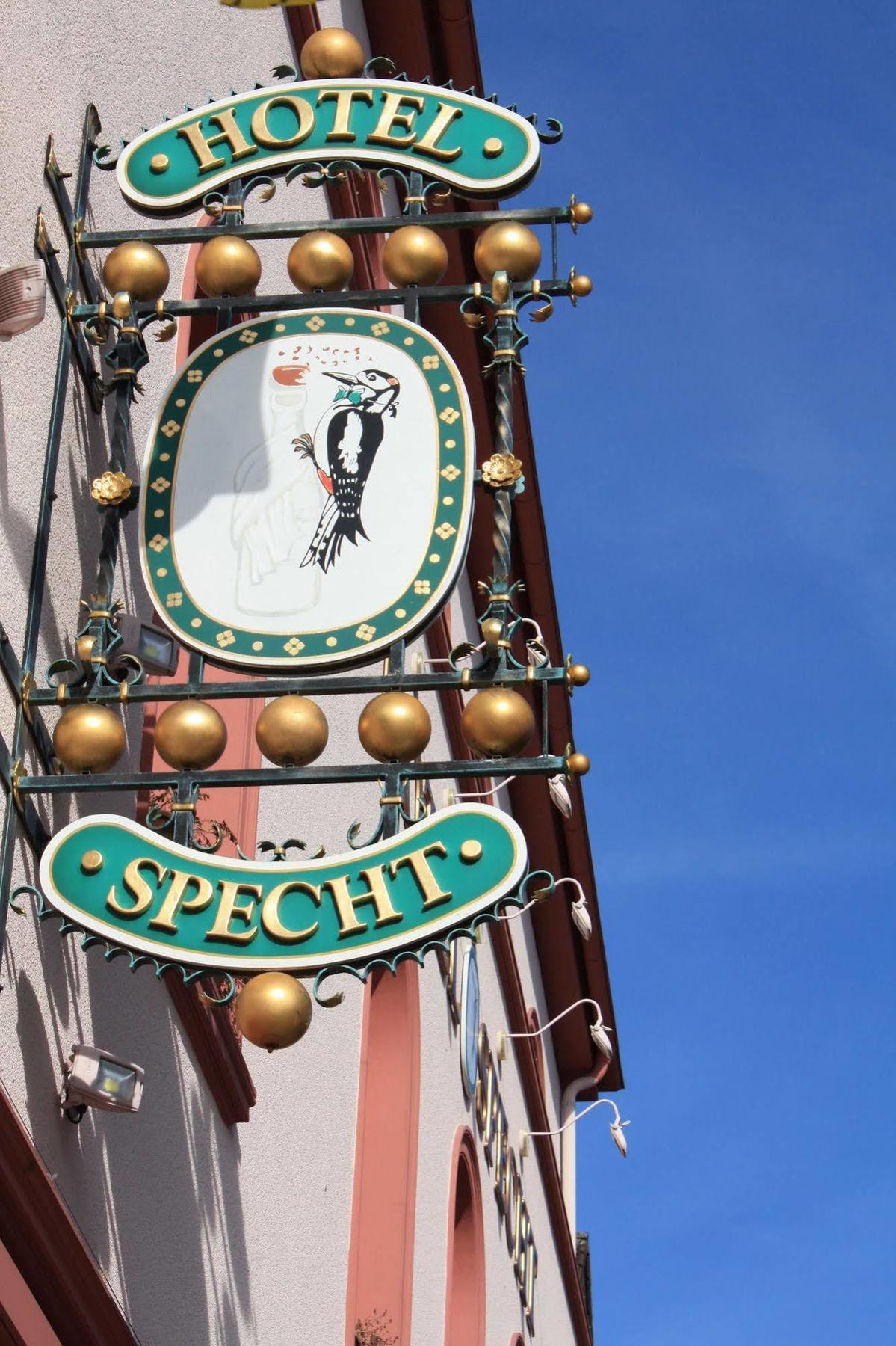 Specht Dortmund