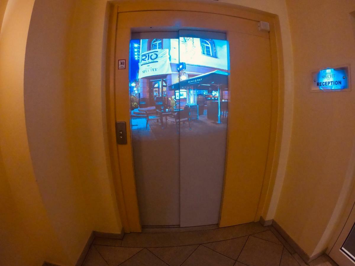 Specht Dortmund